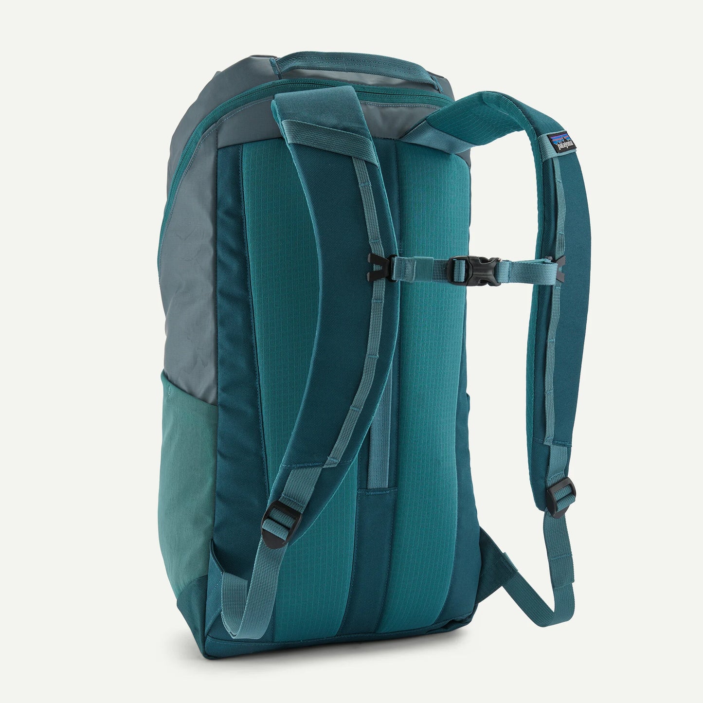 Vista trasera de la mochila Patagonia Black Hole Pack 25L con panel de espalda acolchado y correas ajustables.