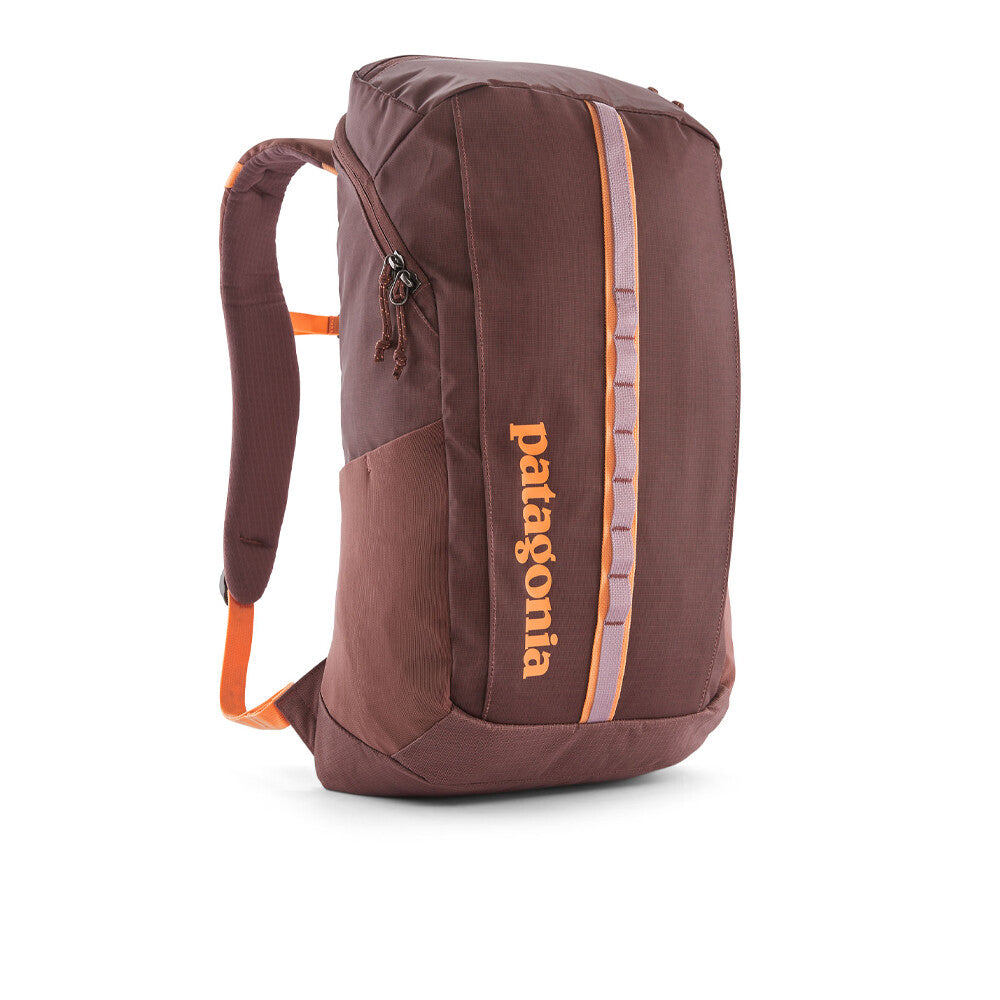 Patagonia Black Hole Pack 25 L