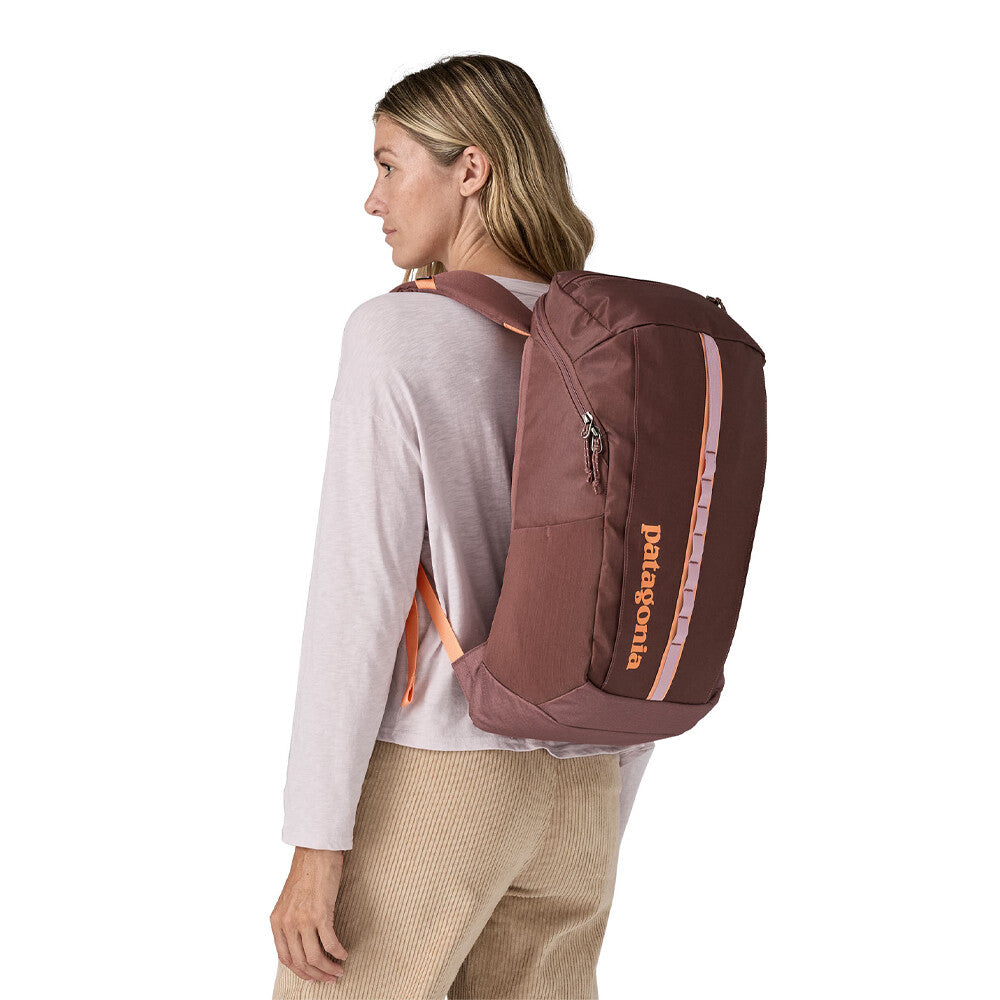 Patagonia Black Hole Pack 25 L