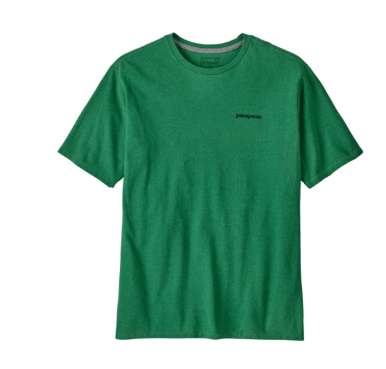 camiseta Patagonia P-6 Logo Responsibili-Tee hombre vista frontal verde